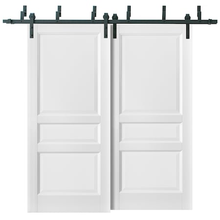Sartodoors Barn Bypass Interior Door, 60" x 96", White LUCIA31BBB-BEM-6096